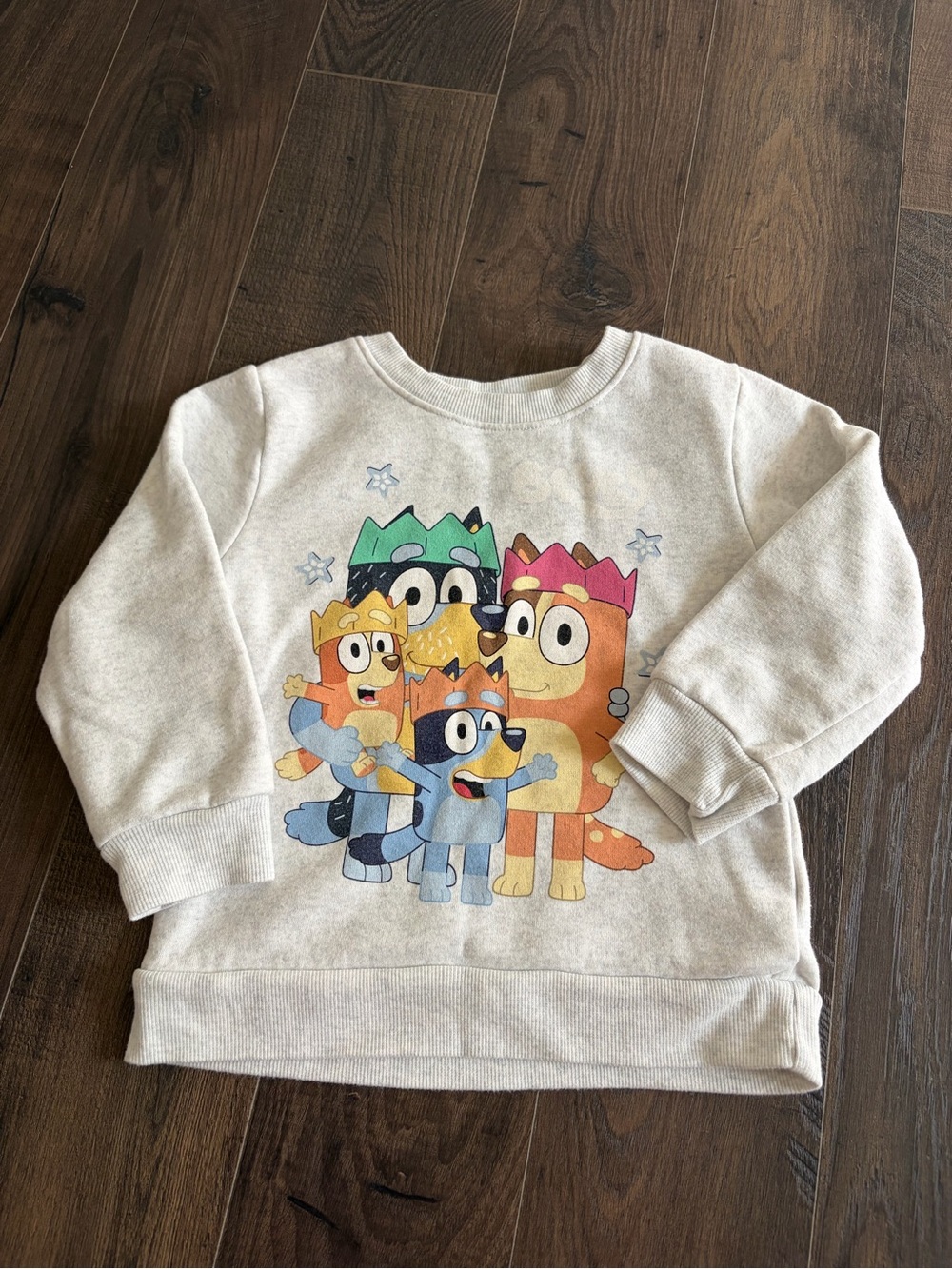 Bluey Family Print sweatshirt